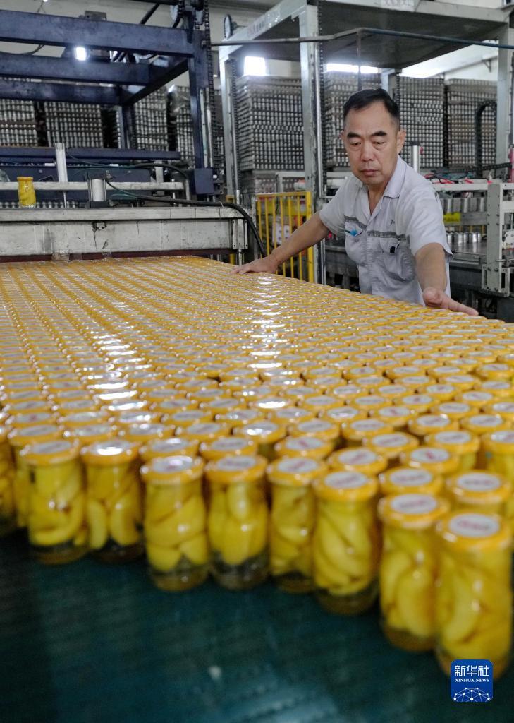 棋牌游戏大厅官网